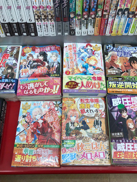 成文堂南浦和店 Seibundoh M 18年11月 Twilog