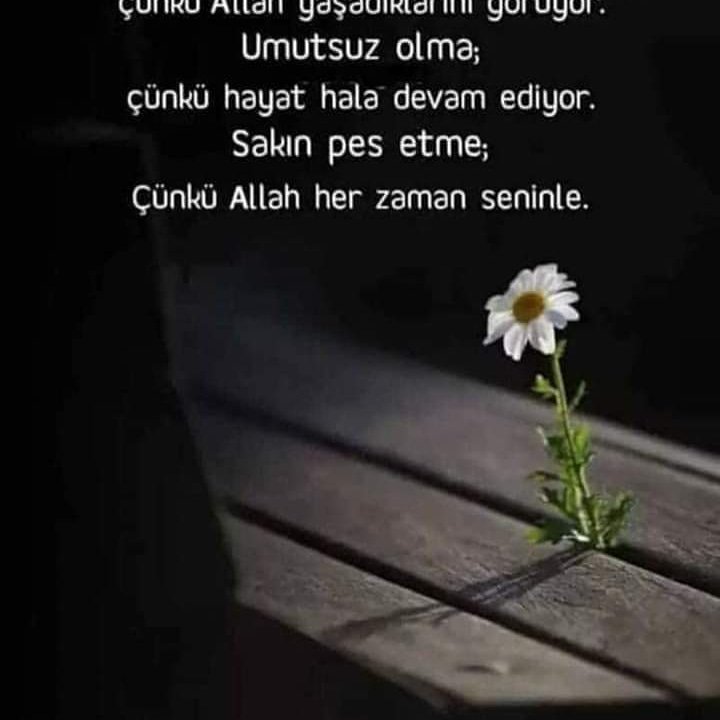 Mustafa61739880's tweet photo. @0kyanusgozlum #hayırlı sabahlar hayırlı haftalar https://t.co/ozeLrrk0Ha