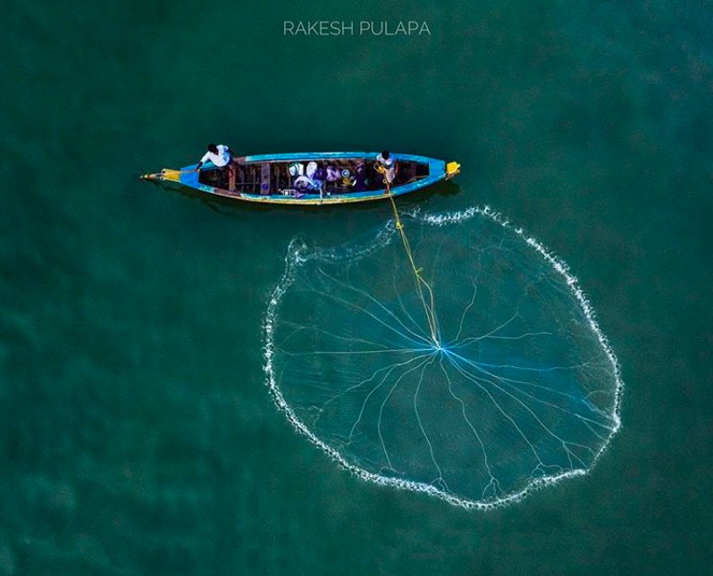 InSeasonFish's tweet image. Cast Nets: The first of our series on sourcing the freshest fish!

Cast nets are thrown from a boat or shore. The fishing duration is short, which means fewer fish are caught &amp;amp; fish are of better quality. For healthy oceans, buy from fishermen using #castnet &amp;amp; #askforinseasonfish