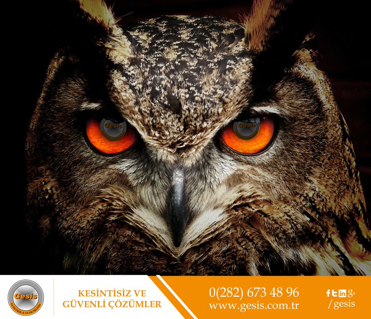 Karanlıkta bir baykuş kadar iyi gece görüşüne sahip olmak profesyonellik gerektirir.
«Kesintisiz ve Güvenli Çözümler»
gesis.com.tr