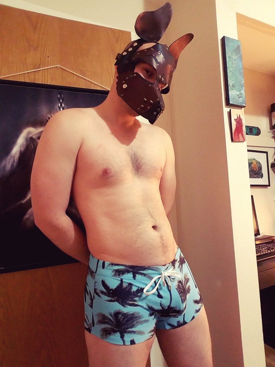 guyswholiketo's tweet photo. The very cute @lobodiablo95 returns to the blog this week. See all his pics by going to his label here:
https://t.co/2W3vDA0FGM
You'll find his jock pics there but this is his first #FeaturedFollower week!
If you want a week in December, get in touch! https://t.co/gj1ytHMOMU