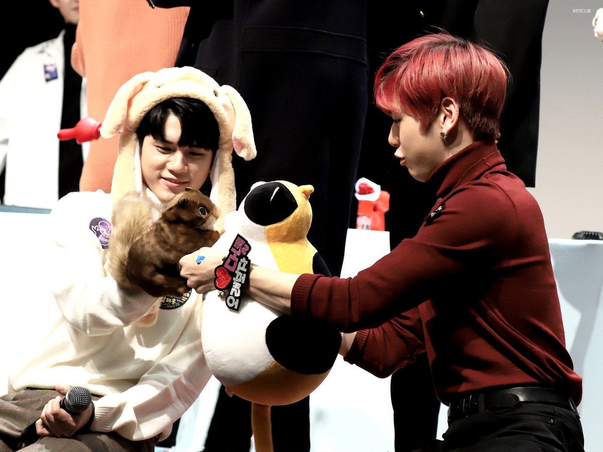 wannaDanielK's tweet photo. 181125 상암 누리꿈 팬싸 / 귀엽뽀짝 냥냥냥 #강다니엘 #워너원 #Daniel #Wannaone https://t.co/qglSw46aRX