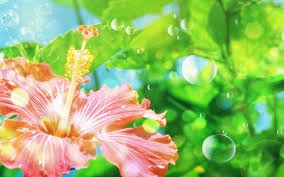kilpatrickia's tweet photo. https://t.co/4is6zgJoOM