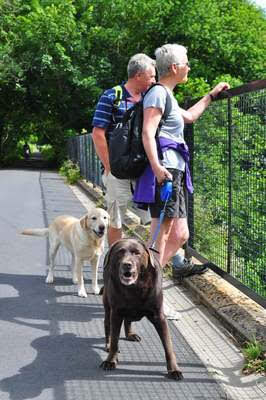 Tarka Trail tweet media