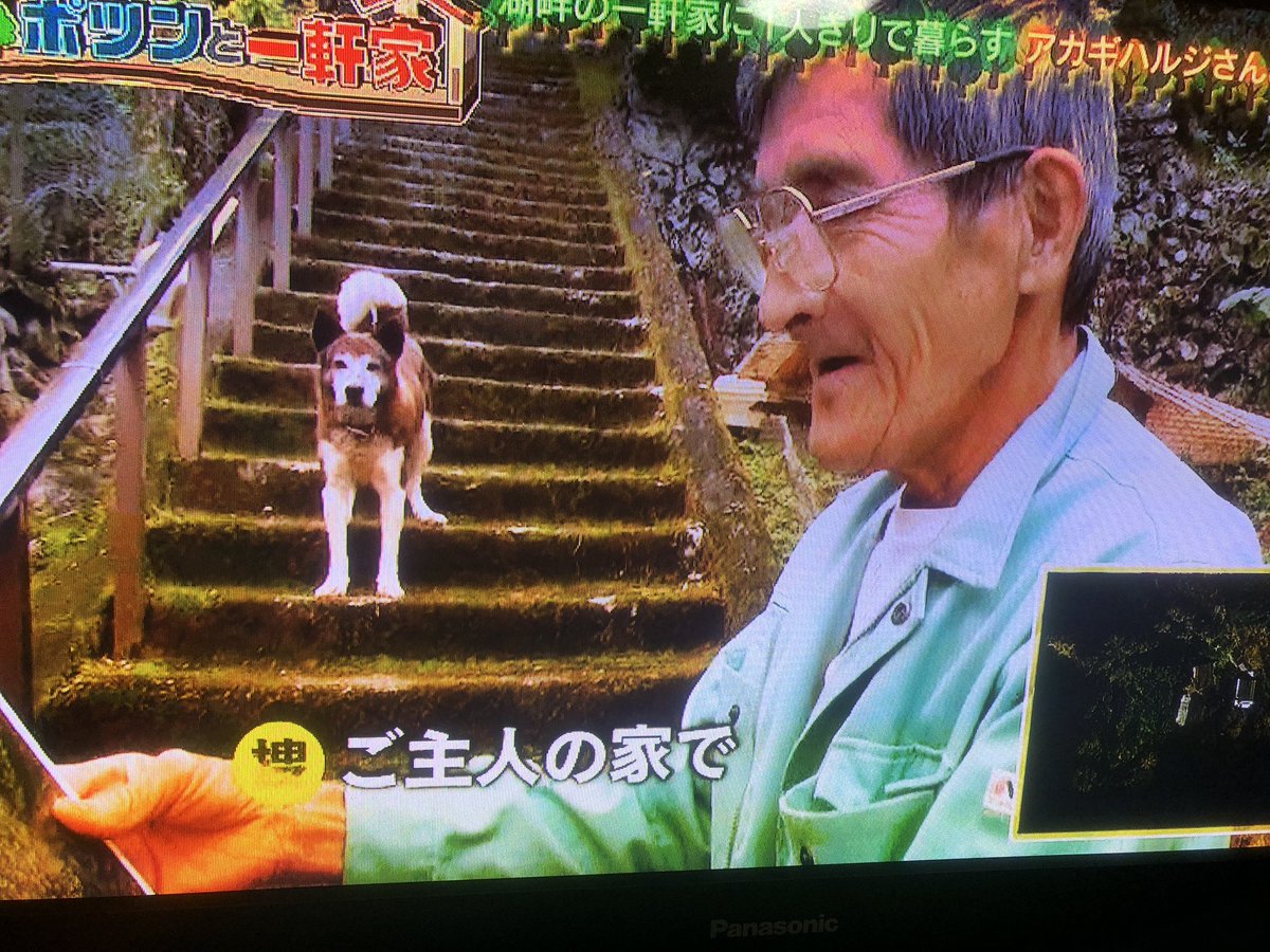 ひばり On Twitter: "昨日のぽつんと一軒家、宮崎のダム湖のねきに住んではるおっちゃん飼うてはる犬、どっちも見た目も大きさも私のストライクゾーンど真ん中、げっつい可愛かってんけど。  #ぽつんと一軒家 Https://T.co/Dvbqw7Iv9F" / Twitter