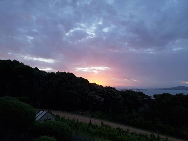 aydeetie's tweet photo. #NoFilter: This place is magical! https://t.co/8X8tDvY1lk https://t.co/ry6DPlTv1W