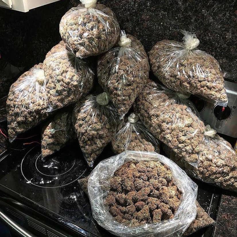 MercyJim6's tweet image. +1(347)899 9630