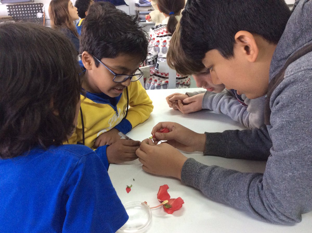 TBSYear3's tweet photo. How exciting! 3B have been in secondary this afternoon to explore the inside of flowers - we even learned how to use the microscopes! Look at the pollen we found! @The_IPC @TBS_IPC @TBSbiology https://t.co/9VFhyc1Vtw