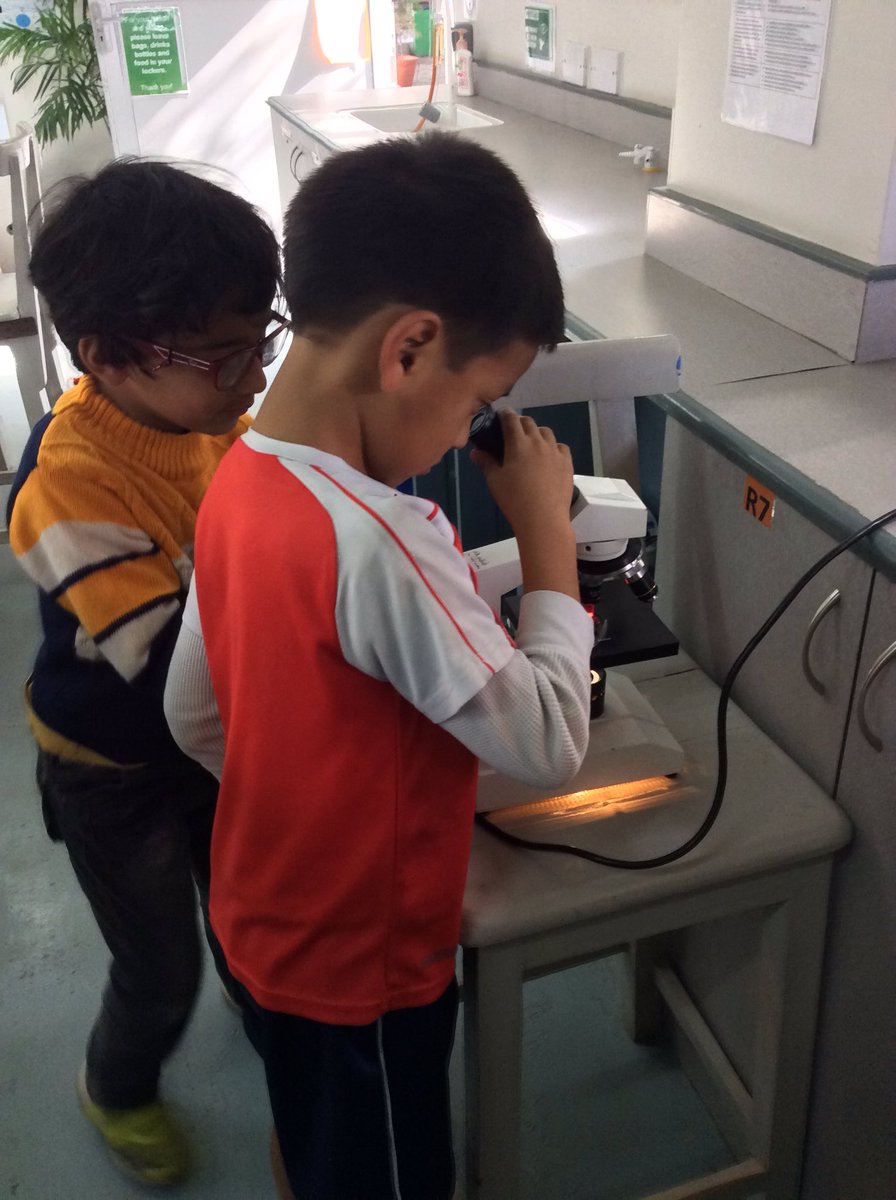 TBSYear3's tweet photo. How exciting! 3B have been in secondary this afternoon to explore the inside of flowers - we even learned how to use the microscopes! Look at the pollen we found! @The_IPC @TBS_IPC @TBSbiology https://t.co/9VFhyc1Vtw