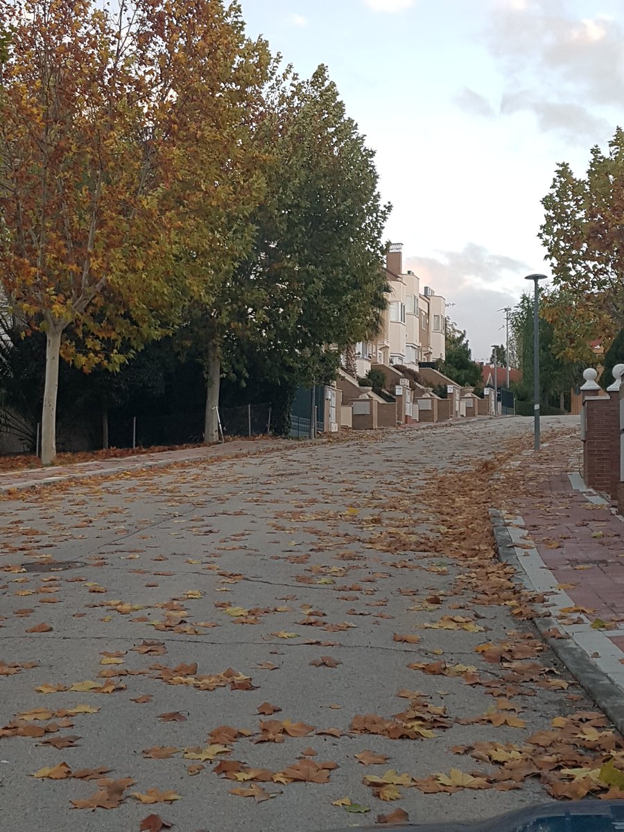 andresix71's tweet photo. En #Algete las calles llenas de hojas, el servicio de limpieza del Ayuntamiento penoso, que hacen con el dinero del IBI?
Sólo se limpian las calles de paso  las que se ven.
Un vehículo barrendero para un pueblo como Algete. De vergüenza https://t.co/flgDQFe1DO