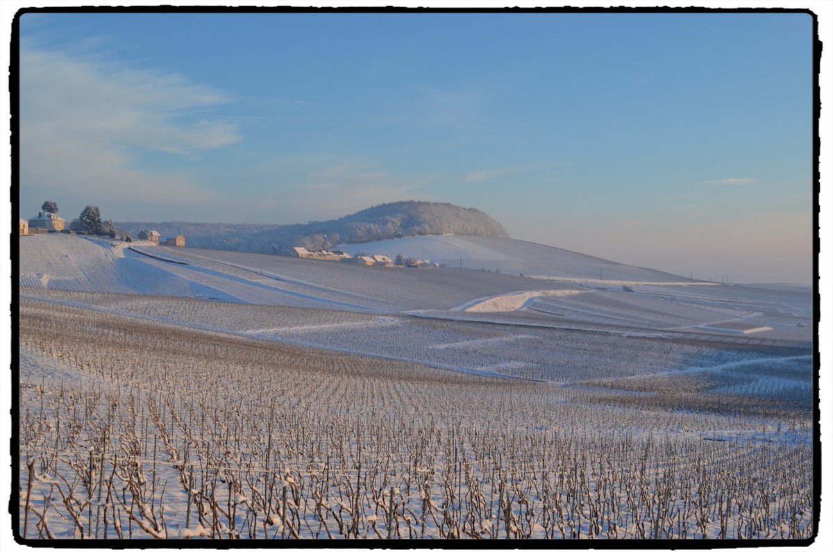 Vintage Story Part 1 - #Champagne J.Vignier
vinparleur.net/Vintage-Story-…