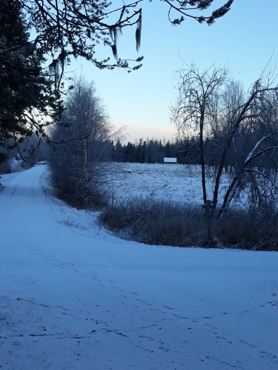 ArolanE's tweet photo. Siitä on kohta tasan 79 vuotta kun Lempi Seppänen täältä Arolasta, näki kuinka Neuvostoarmeija tuli jostain tuolta ladon takaa ja piiritti naapuritalot. Lempi otti lapset kelkkaan ja lähti Juntusrannan kylään viemään sanan sotilaille että sota on alkanut. #sotahistoria #1939 https://t.co/e6cCDyFWbX