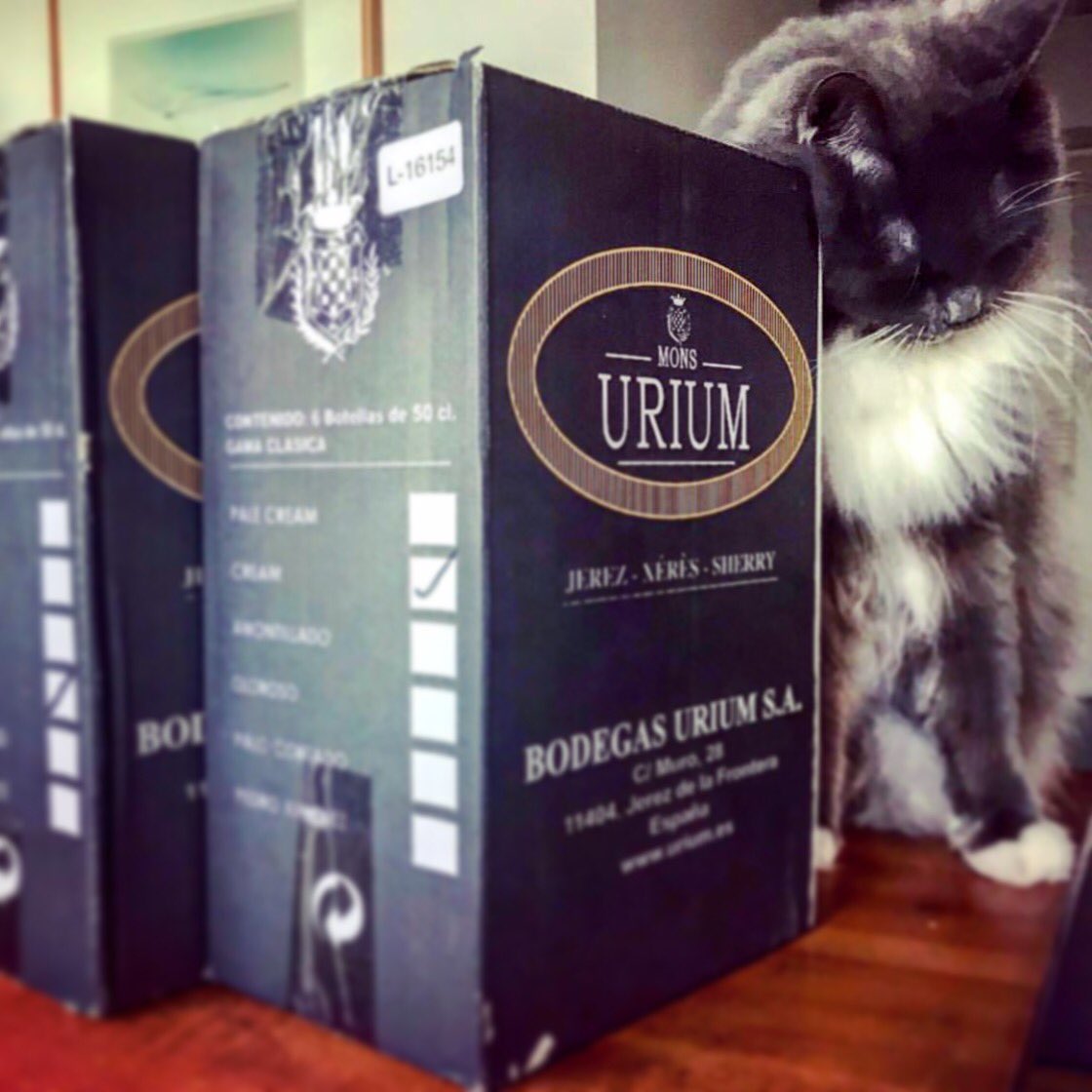 RocioUrium's tweet photo. Los gatos aman Urium. Éste es holandés y me envía la foto @sherryman_nl gracias!
#catsloveurium #netherlandslovesurium #netherlands🇳🇱 #urium #Uriumoment #cat #gato #vino #wine #sherry #sherrywine #sherrylover #vinodejerez #cajadevino #winebox https://t.co/0Ni5PQaog7