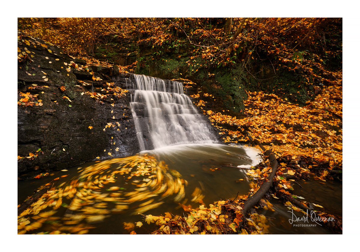 Pittencrieff Glen. #MondayMotivation #appicoftheweek @FujifilmX_UK @OPOTY @VisitScotland @LoveDunfermline @VisitFife @ScottishField @ScotsMagazine @welcometofife