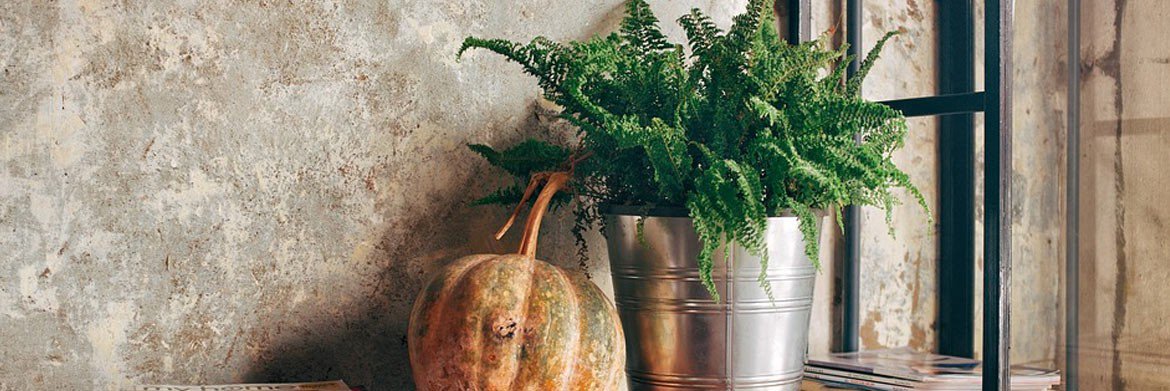 AlexDMarketer's tweet photo. [Blog]All You Need to Know About Indoor Gardening @LFFStore
https://t.co/m1hZNk453F
#gardeningtips #littlefieldsfarm #blog #indoorgardening #gardeningbenefits https://t.co/dlQvOcN9TR