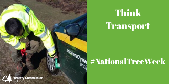 ForestryComm's tweet photo. Help keep our trees and plants healthy. #KeepitClean when visiting and working in woods and forests during #NationalTreeWeek by brushing down your vehicles https://t.co/pml6yNlnUr. https://t.co/kHZQWlJPWn