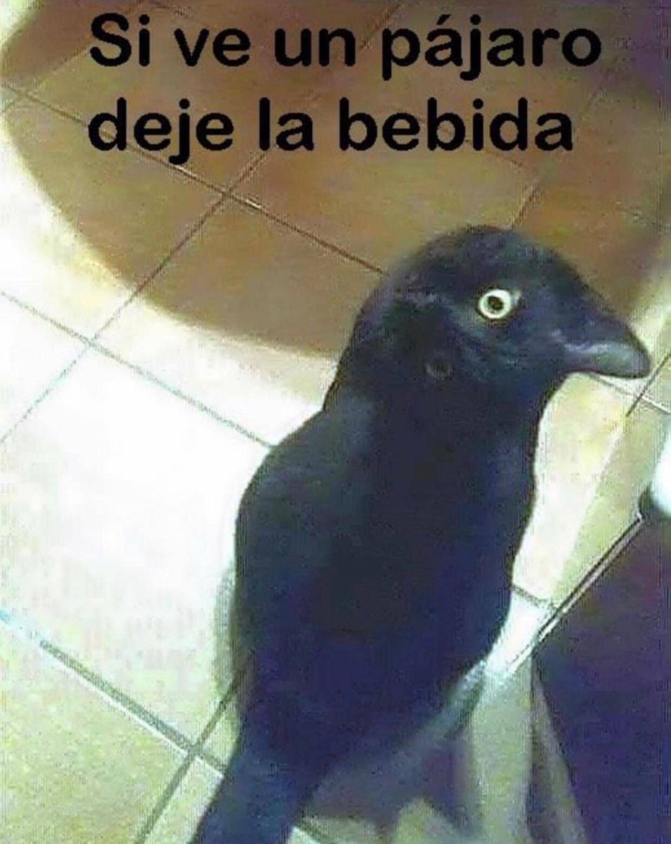 ToygerGatos's tweet photo. Sonrisa de lunes...
https://t.co/JnexzNjHvY https://t.co/mu5v854MEr