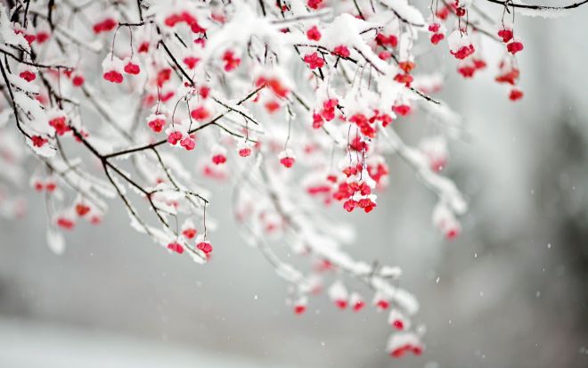 LaParfumComUa's tweet photo. А вы уже начали готовиться к ❤️любимым праздникам❄️? Интернет-магазин La Parfum приглаша��т всех ценительниц брендовой парфюмерии к себе на страничку! Оригинал. Качество. Доставка по Киеву и Украине. https://t.co/O9mtnblNXG  #laparfum #купитьдухи #киев #парфюм #духи #ароматы https://t.co/xwClhdGBHO