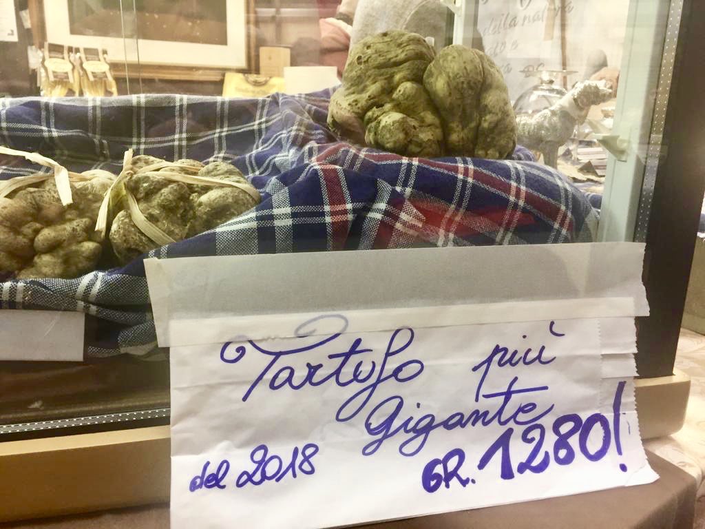 AlParadiso_'s tweet photo. Cala il sipario sulla Fiera Internazionale del @AlbaTruffle e la nostra Federica non ha perso l’occasione di andare alla ricerca dei #tartufi più golosi e pregiati.
🍽 Vi aspettiamo #AlParadiso! https://t.co/gwhtRRyeXO