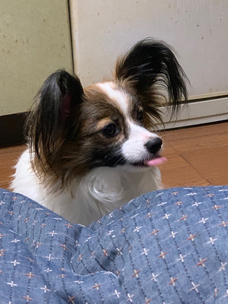 akio_s's tweet photo. とりあえずビールで https://t.co/noUkxpvjOi