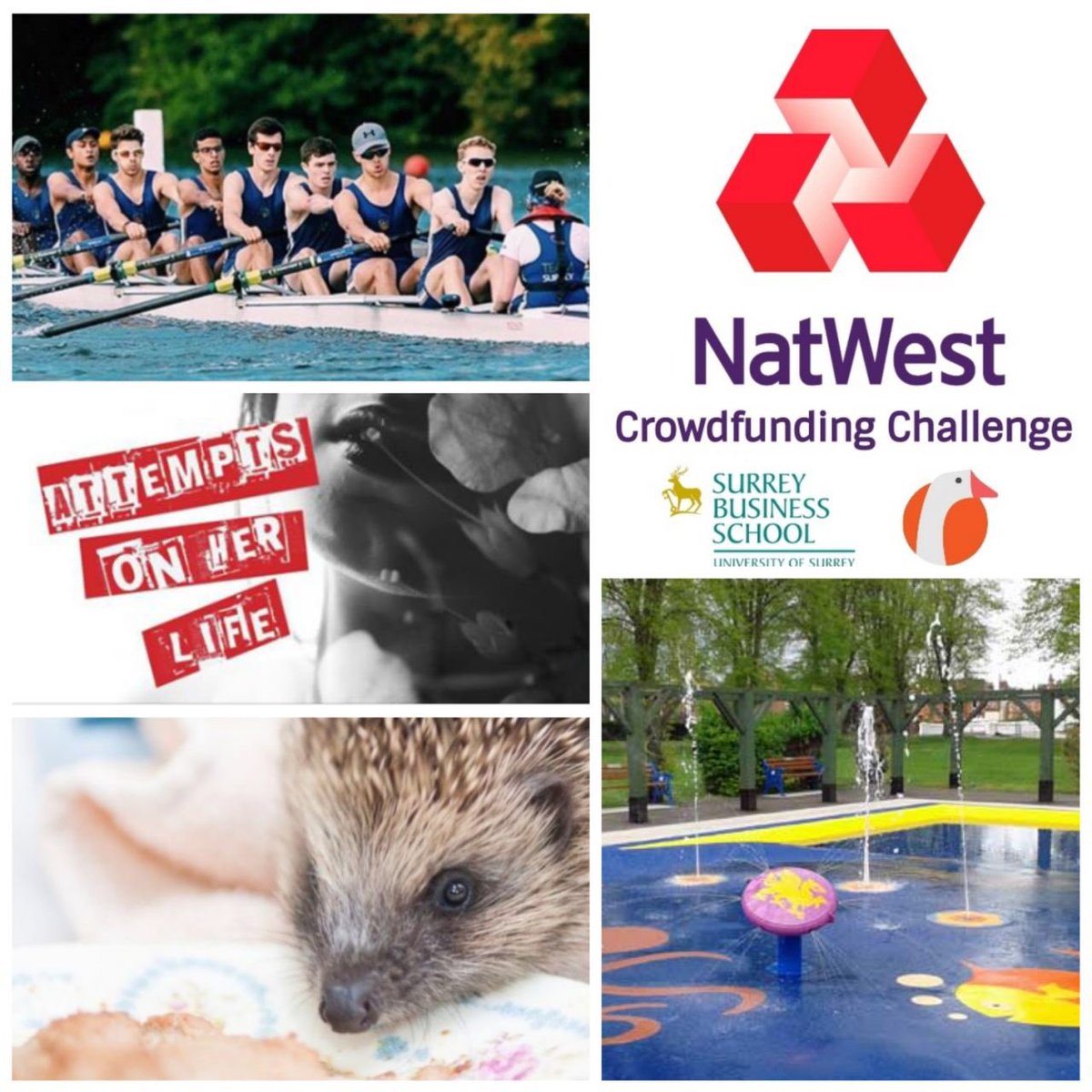 GaggleConnect's tweet photo. The #crowdfunding #competition in on! All the #campaigns need your #pledges to win the 🏆 of £250 sponsored by @NatWestBusiness! @splash_warren @4_hedgehogs @THESOC_project @rowedtohenley1   Check their @crowdfunderuk pages and help them to become🥇! #surreycrowd @SurreyChambers https://t.co/U5bwVd3kHB