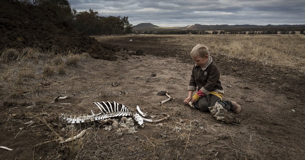 Poseidon_Eco's tweet image. A great synopsis of the IPCC report by @nytimes. We can save ourselves from a world of worsening food shortages, wildfires, and a mass die-off of coral reefs as soon as 2040 if we all join together to welcome solutions that link everyday life to forests. nyti.ms/2C09zK2
