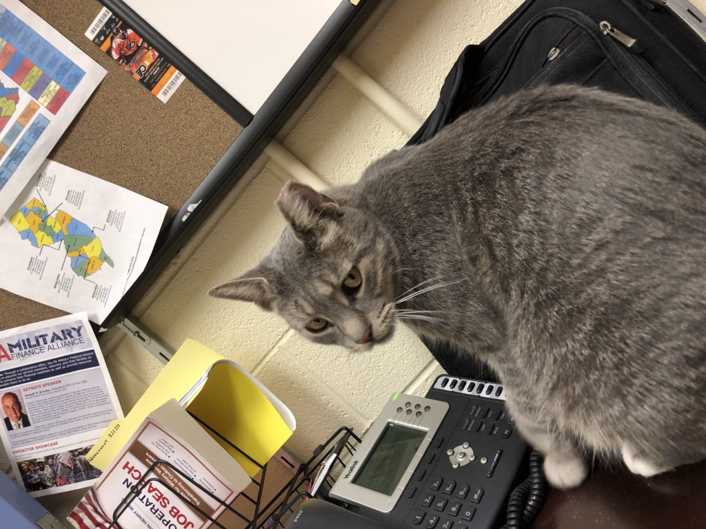 JosephBrooksPA's tweet image. Spotted on my desk moments ago. My employee is becoming way too familiar around me. #workboundaries