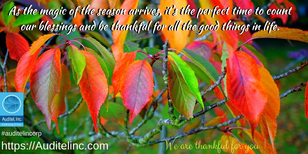 AuditelIncorp's tweet photo. We hope everyone enjoyed a very Happy Thanksgiving Weekend #auditelincorp #MeisterSero #ATT #jetar9 #edimosip #2A_Molon_Labe #StressFreeKids #Emerfalen #fscarfe #PurB_Local #VohnnysFWriting #jewelrycleanerr #AppaloosaL #avrohomg #RT https://t.co/qqVvlel0lL