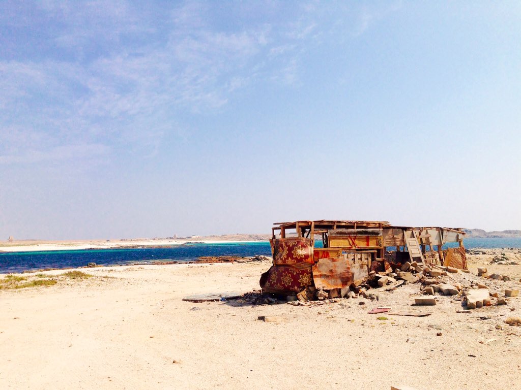 joey_squishfish's tweet photo. #Fishing is big business in southern Oman, which experiences monsoons and major upwelling. Brown hills turn emerald green, and #kelp forests rise up from the rocky reef (@twernberg). Our @austmus research falls at the end of this life spring. @CokerDJReefFish @AustArabCouncil https://t.co/uwuXRLWSIz