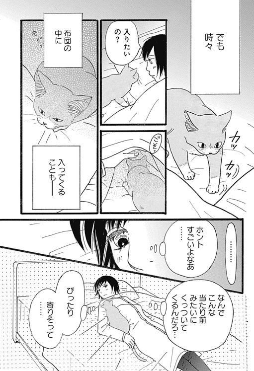 志村志保子 はじめての猫 2人編 発売中 Shimurashihoko Twitter