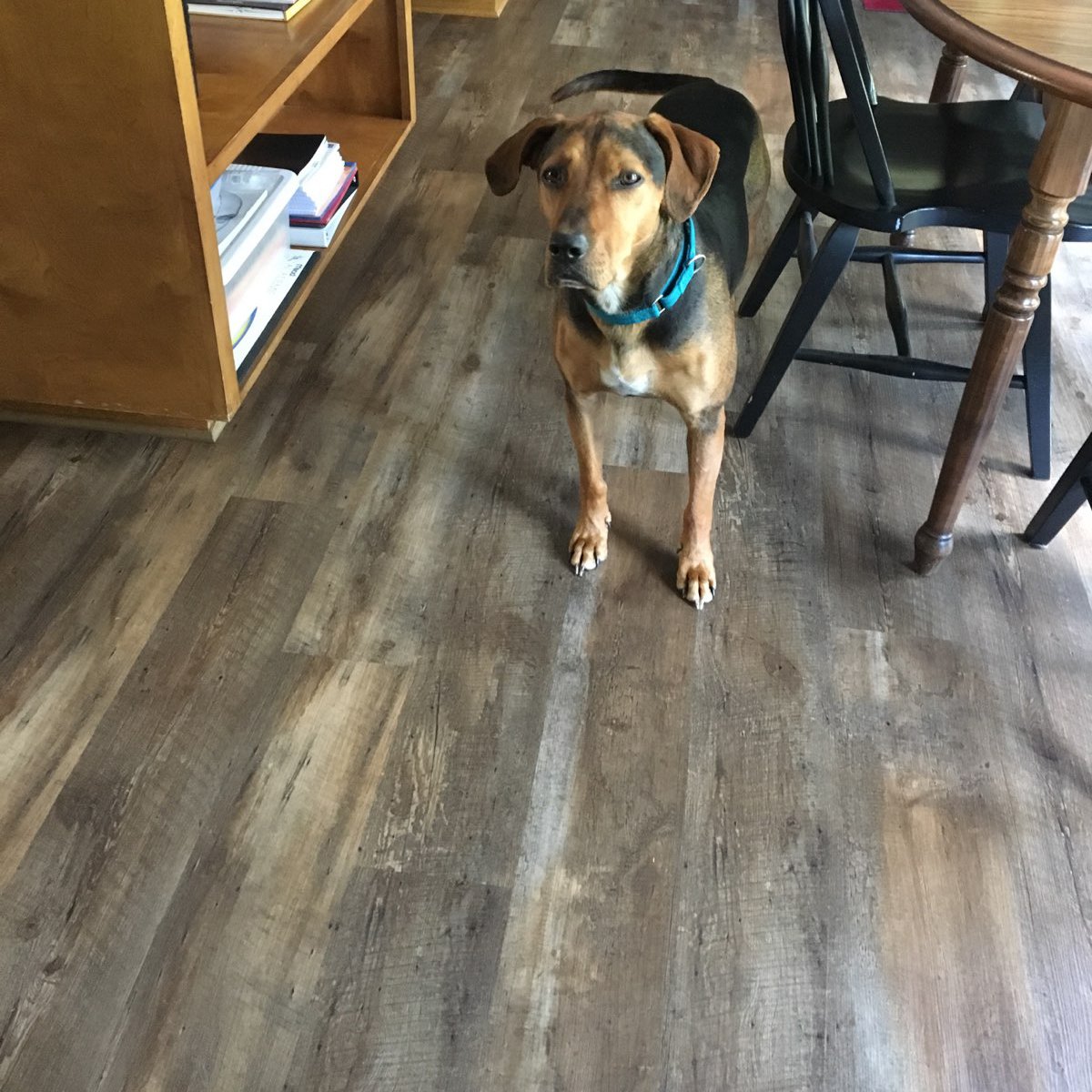 Riterug Flooring On Twitter Just Installed This Beautiful