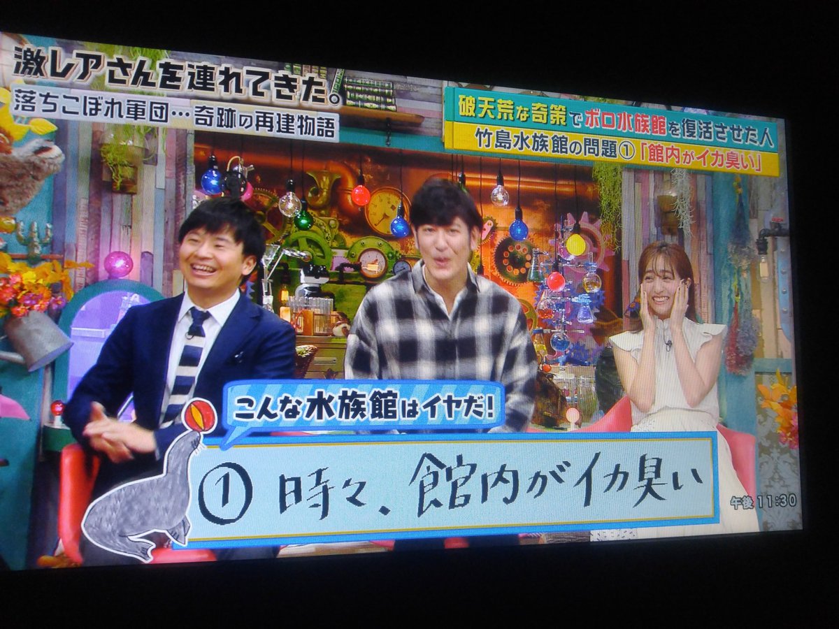 激レアさんを連れてきた で 竹島水族館 が話題に 11ページ目 トレンドアットtv