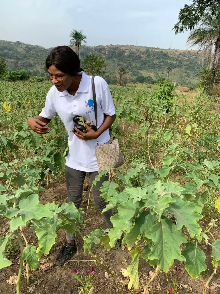sidibe_diaka's tweet photo. Agriculture, notre avenir, une passion...🙏
#AgroGuineeLab
#YaliGoesGreen 
@sirasaad03 https://t.co/nIDprOGHXw