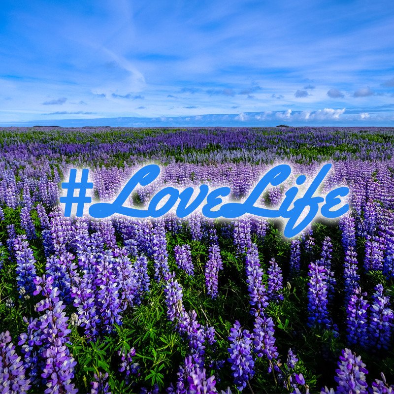 Rubyluke's tweet image. Live simply.
Dream big.
Be grateful.
Give love.
Laugh lots.
#LoveLife