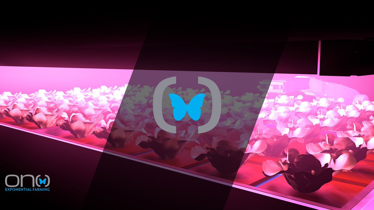 ONO Exponential Farming tweet media