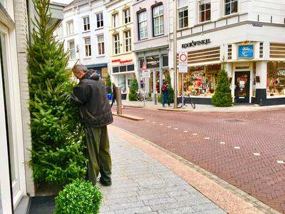 Straatbeeld: Ook de Vughterstraat heeft nu zestig kerstbomen dlvr.it/Qs70qY