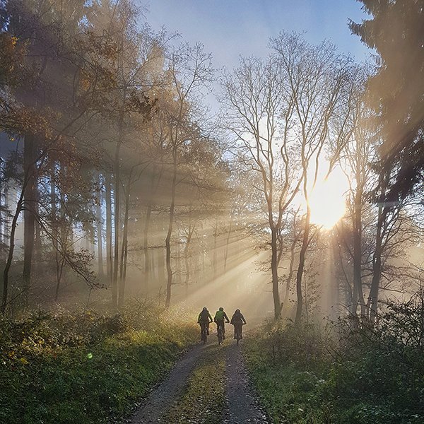 Alma Easy German (AlmaEasyGerman) Twitter