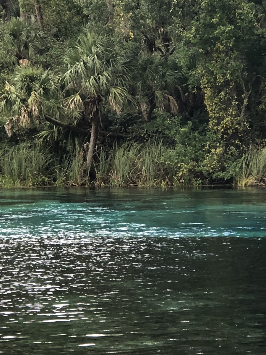 greenbergschool's tweet photo. Wonderful weekend #camping #familytime #getbackoutside #nationalparks #naturalsprings #lovenature https://t.co/kjr3gCFGUp