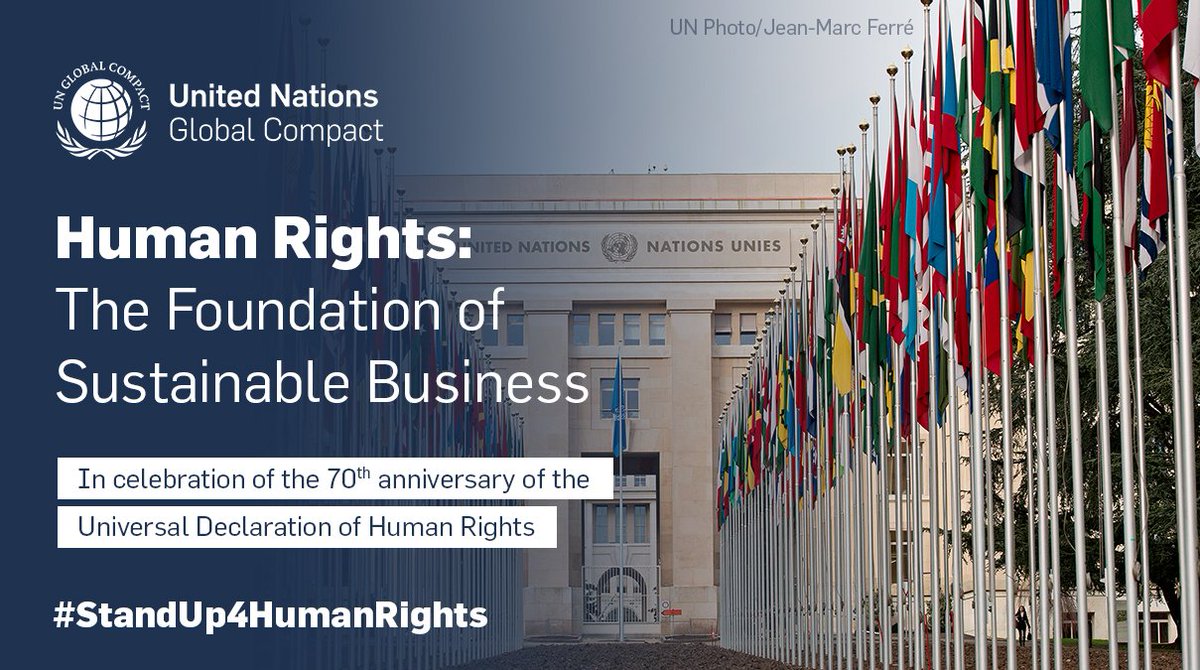 In celebration of the 70th anniversary of the #UDHR, new UN <a href="/globalcompact/">UN Global Compact</a> report showcases examples of how businesses around the world are taking action to #StandUp4HumanRights. 

Explore now: unglobalcompact.org/library/5647