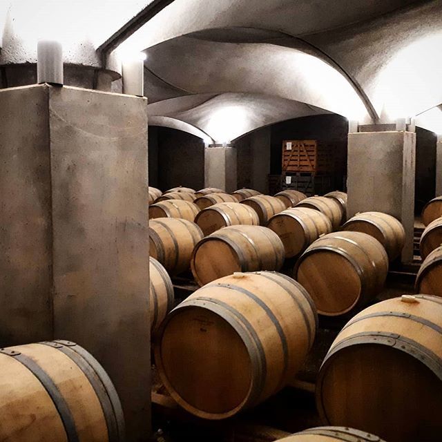 elliott6662's tweet photo. Dans les entrailles du château de Mercuès 🍇🏰🍷 https://t.co/xv0uNAnk68