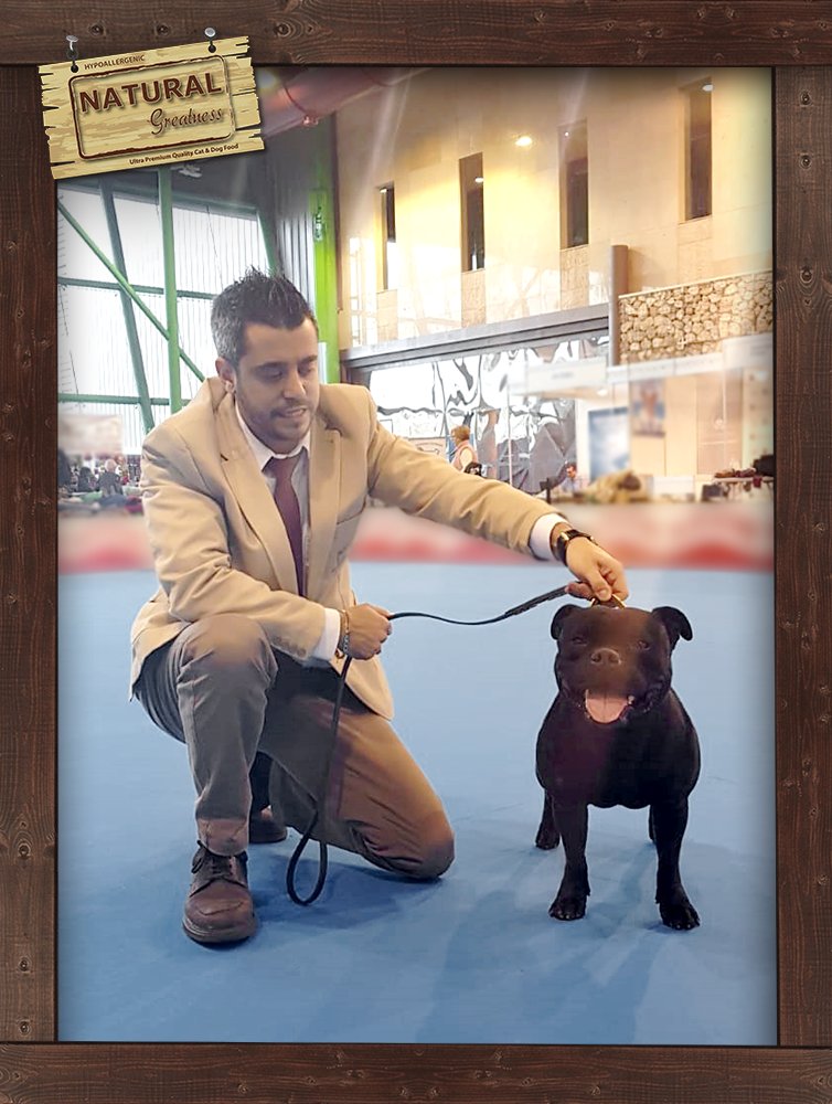 ▪¿Que podemos contaros de nuestro fin de semana en <a href="/MiMascotaMLG/">Mi Mascota Málaga</a> ? ¡Solo cosas buenas!

🌿 Hemos estado muy bien acompañados y hemos conocido a muchos #NGfriends que habéis pasado por nuestro stand a saludarnos.

Una experiencia muy enriquecedora que esperamos repetir 😊