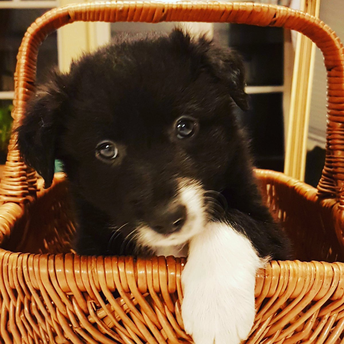 Marie Ström tweet media