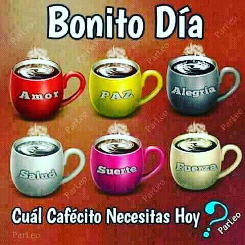 TusKactus's tweet photo. Que el amor guíe tu corazón, la lógica guíe tu mente y la fe guíe tu alma! ... BUENOS DÍAS!!! .. y para variar, hay #Café 

#TusKactús #iMnova https://t.co/MozjNQCbMr