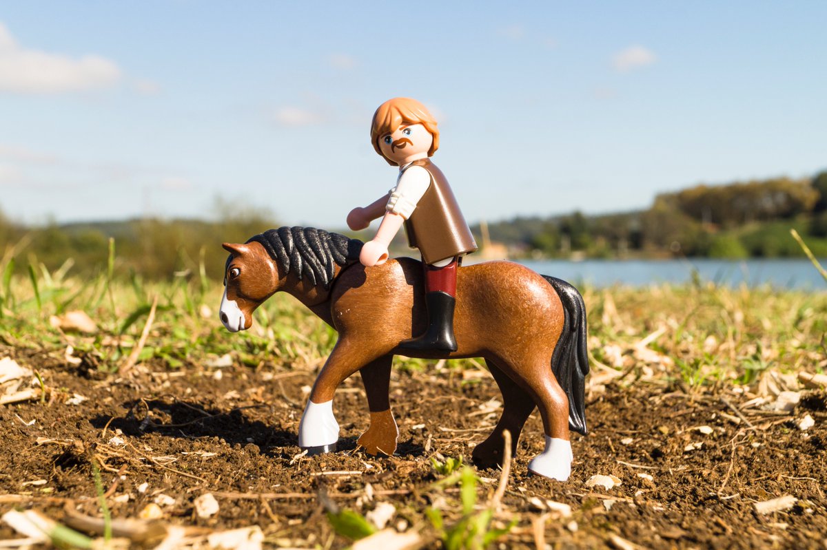 playmoplay's tweet photo. 🐎
_
#spirit #dreamworks #playmobil #pantano #trasona #agua #prado #montañas #arboles #playmo #papa #lucky #carruaje #playmobilespaña
_
Referencia del producto: 9477 https://t.co/z4gqrbSxyS
