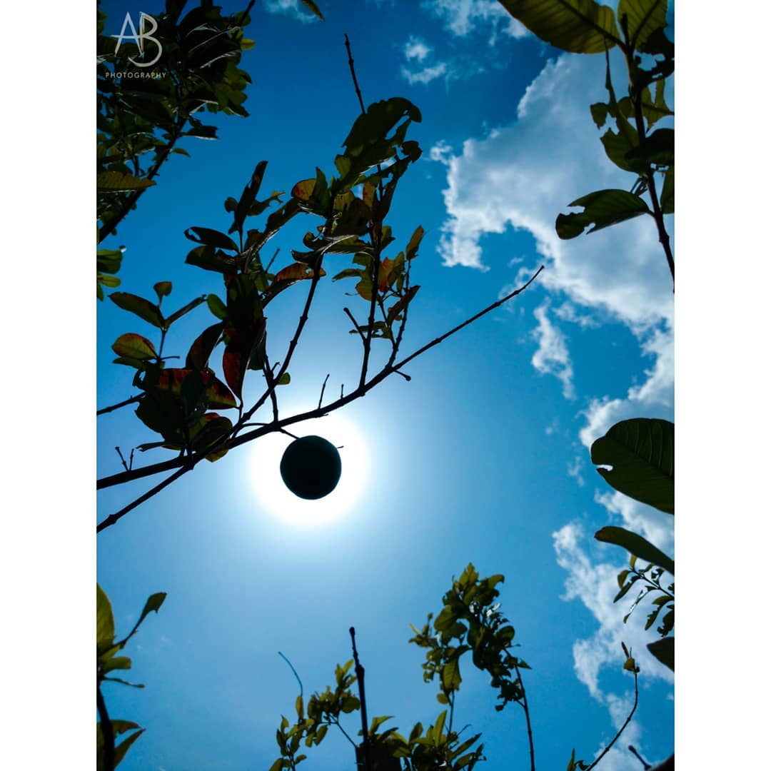 motorolaindia's tweet photo. Enter a new world of illusions with these #motographs! Show us how you make the ordinary look extraordinary and stand a chance to get featured on https://t.co/mWm01bzlN3! https://t.co/UAJlrHBe3f