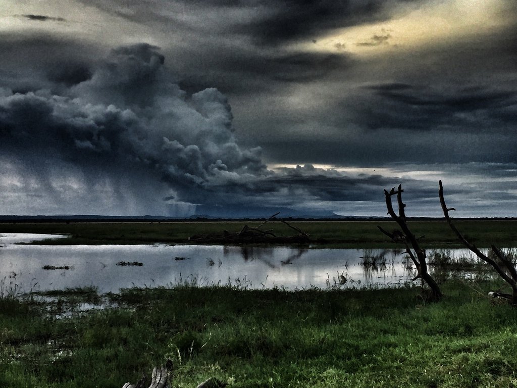 MozCollection's tweet photo. Dramatic rainclouds on the plains of Gorongosa National Park, Mozambique! https://t.co/7bg4HGJ011