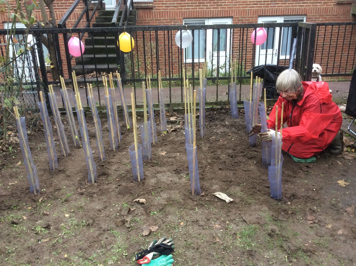Nw6Webheath's tweet photo. On Saturday Lynda planted the first 20 trees for the Community Orchard. Lots of residents turned out to help, young and old. If you could help raise funds please follow this link https://t.co/aoTkRt1C8V https://t.co/yHIDi0hjhH