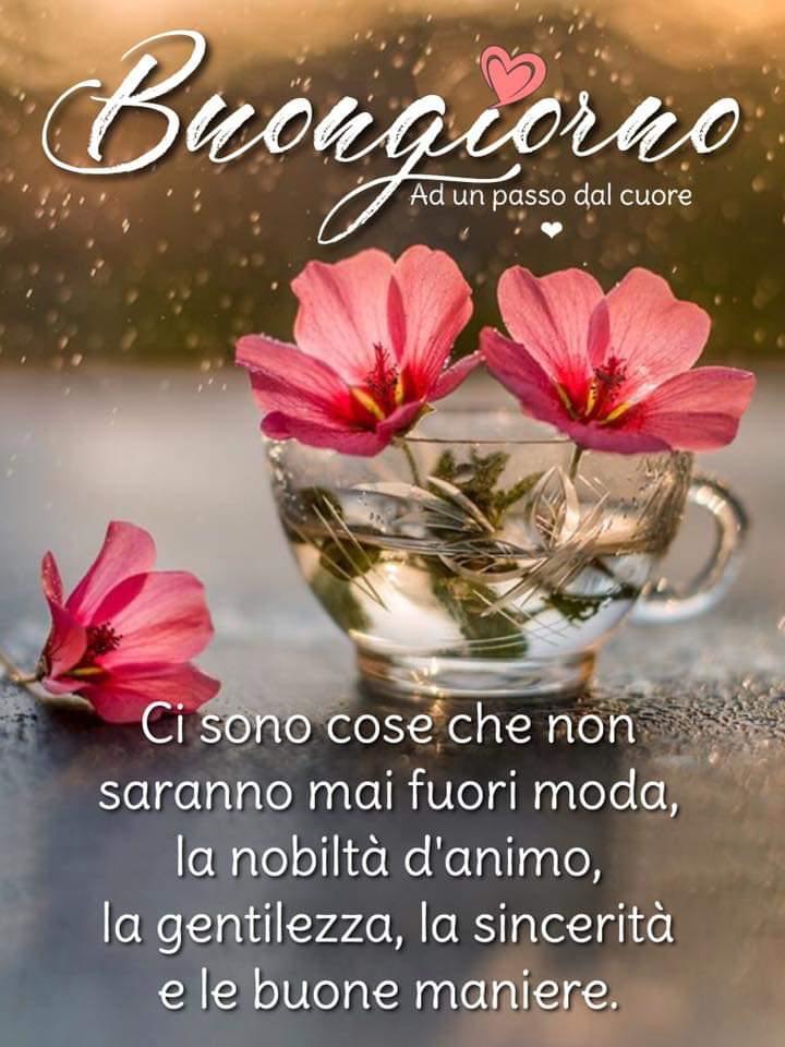 Ad Un Passo Dal Cuore Immagini E Frasi