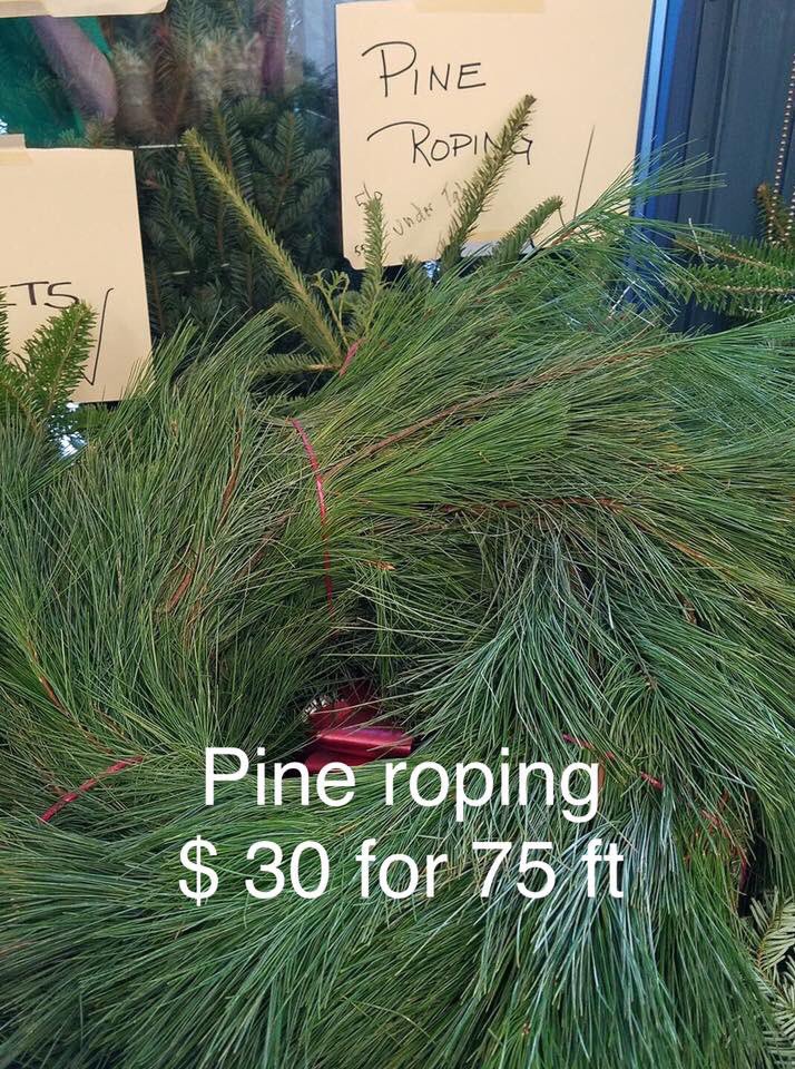 Less than 2 weeks to go to get your Holiday wreath, plant, or tree orders in. Pick up is at the High School on Dec. 7th!