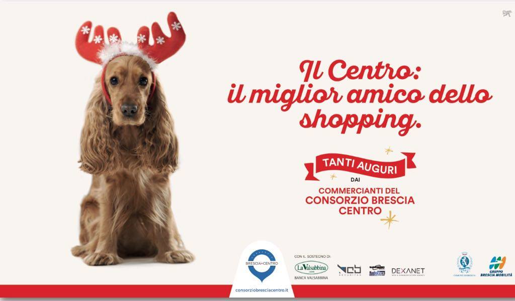 VCBSecuritas's tweet photo. Con grande soddisfazione anche quest'anno VCB Securitas sostiene il Centro Storico di Brescia attraverso il rinnovo della collaborazione con Consorzio Brescia Centro.
#vcbsecuritas #brescia #shoppingincentro #consorziobresciacentro #bresciasocial https://t.co/kY4WRvAGbN